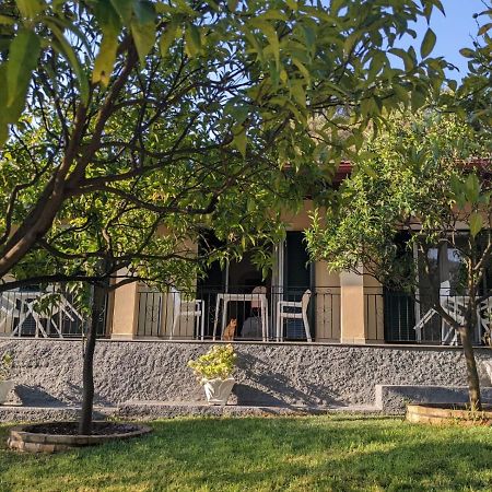 Villa Eleni - Studios Liapades Exterior foto
